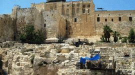 المسجد الاقصى.gif
