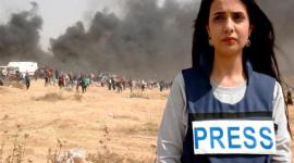 رواء مرشد.jpg