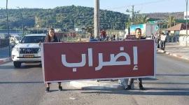 اضراب شامل