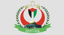 وزارة الصحة توضح حقيقة الشاحنة المصرية المحملة بعدد قليل من علب الادوية