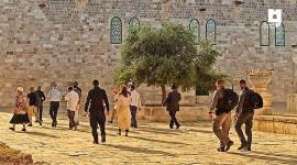 مستوطنون يقتحمون القدس (2).jpeg