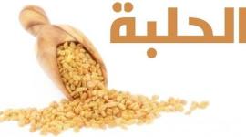 فوائد نبات الحلبة  وهل تزيد الوزن أسئلة شائعة عند الأشخاص .. طالع الإجابة