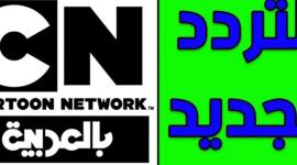 قناة نتورك1.jpg
