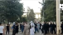 المسجد الاقصى