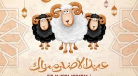 أجمل رسائل تهنئة عيد الأضحى المبارك 1442 – 2021 .. مسجات للحبيب