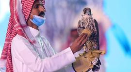 صقر سعودي.jpg