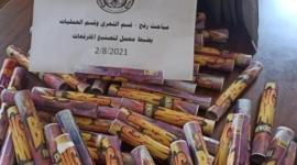 صورة للمفرقعات التي ضبطتها شرطة رفح