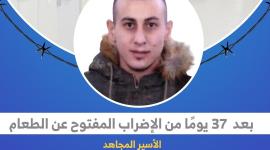 الأسير محمد اعمر