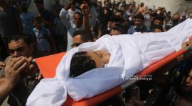 الشهيد عمر ابو النيل (6).JPG