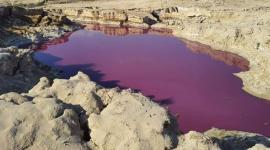 بركة حمراء.jpg