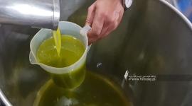 زراعة غزة: استيراد 1200 طن من زيت الزيوت إلى القطاع خلال الفترة المقبلة