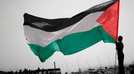 علم فلسطين.jpeg