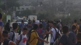 جنين