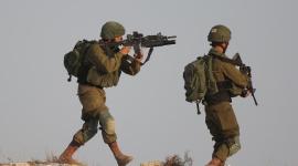 ارشيفية