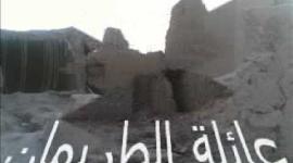 اصول عائلة الطريمان