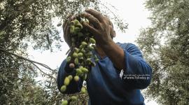 تعبيرية "أرشيف"