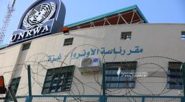 اضراب الوكالة (4).JPG