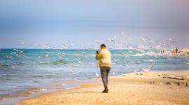 فلسطين (3).jpeg