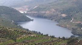 وادي الاردن.jpg
