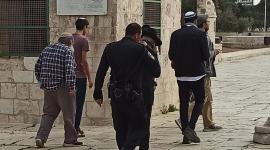 المسجد الأقصى (8).jpeg