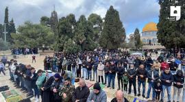 صلاة الجمعة في المسجد الأقصى.jpg