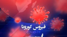 علماء يكشفون سبب إصابة مرضى فيروس كورونا بـ "تلف القلب"