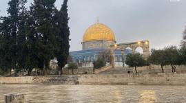 القسطل8.jpg
