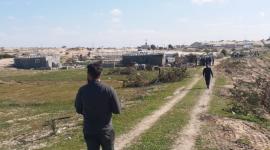سلطة الأراضي تُزيل تعديات على الأراضي الحكومية غرب رفح
