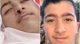 النواتي.jpg