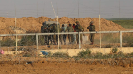 ارشيفية