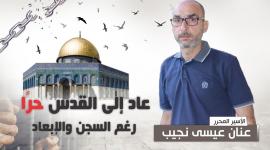عنان نجيب