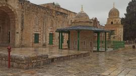 المسجد الأقصى (11).jpeg