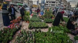 تجارة الاشتال