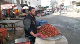 الدكتور بائع الفراولة.jpg