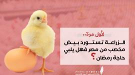 تقرير.jpg