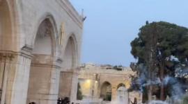 قوات الاحتلال تطلق قنابل الغاز على المصلين بالأقصى.jfif