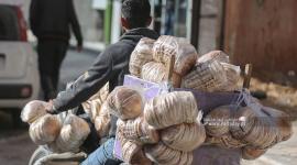 مخابز في غزة على وقع التحذيرات من نفاذه خلال أسبوعين (15).JPG