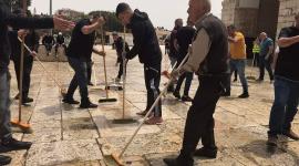 تنظيف المسجد الاقصى.jpg