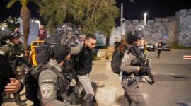مواجهات بين الشبان و قوات الاحتلال في منطقة باب العامود (9).jpg
