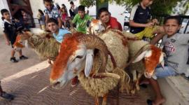 موعد عيد الأضحى 2022 في الجزائر