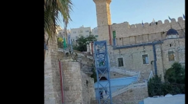 الخليل