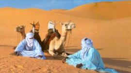 الطيان ويكيبديا- الطيان وش يرجعون- أصول وفروع قبيلة الطيان