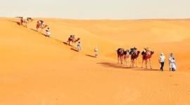 المزيني وش يرجعون السعودية عمان- فروع المزيني- نبذة عن المزيني ويكيبيديا