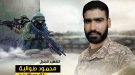 محمود طوالبة.jpg