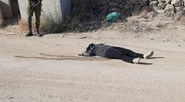 الصحفية غفران وراسنة