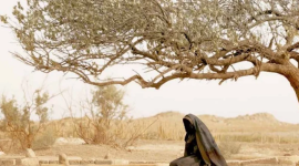 سيدة الجنة.PNG