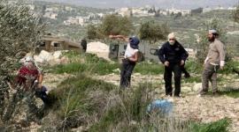 مستوطنون يهاجمون قرية يتما جنوب نابلس والأهالي يتصدون لهم