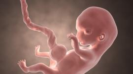 أدوية شائعة الاستخدام يتسبب تناولها أثناء الحمل في حدوث تشوهات خلقية