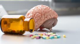 العلماء يحددون فيتامينا يؤدي نقصه إلى تدهور الدماغ!