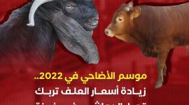 موسم الاضاحي